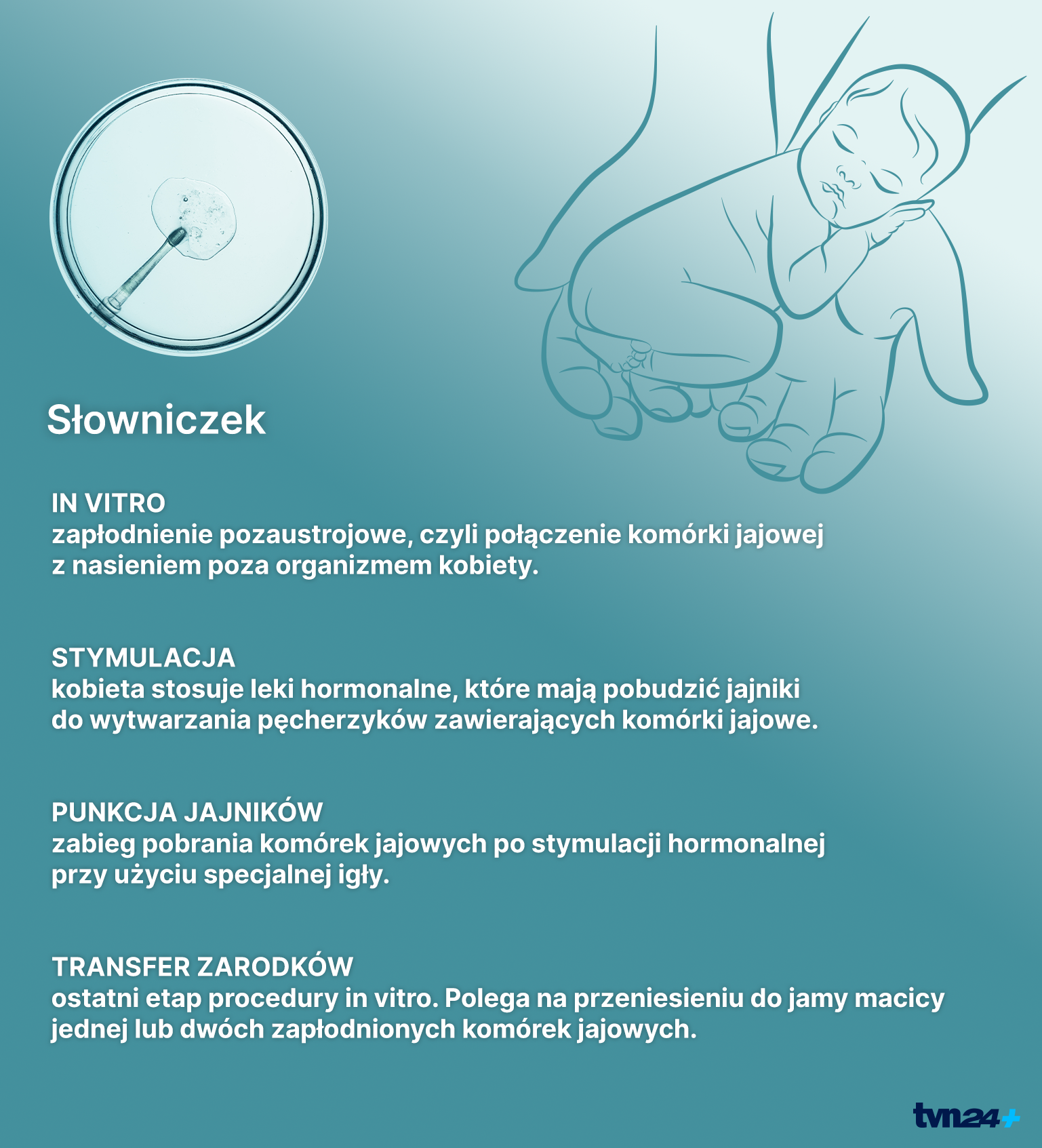 Na czym polega procedura in vitro?