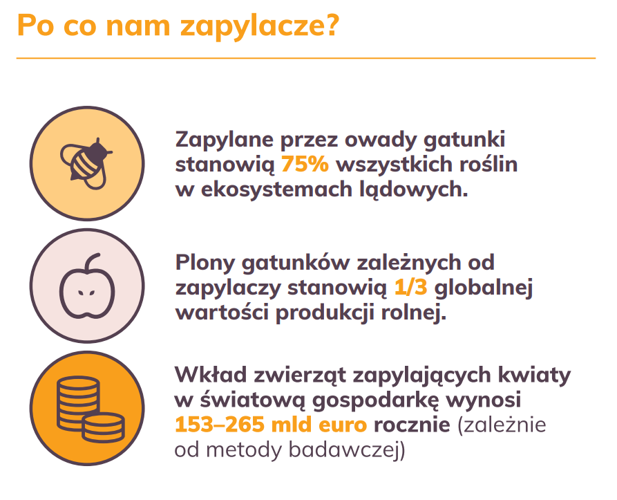 Po co nam owady zapylające?