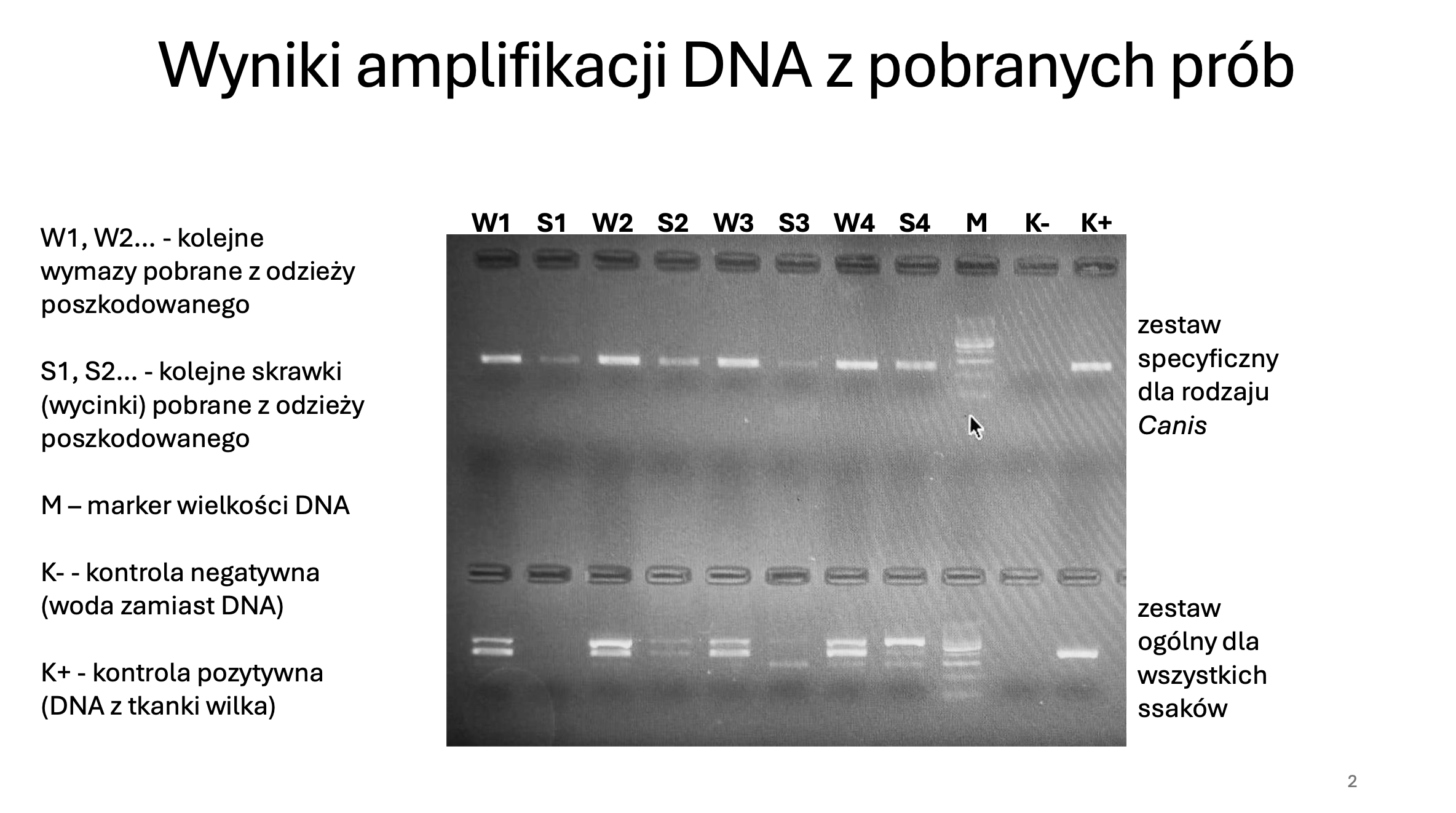 Zrzut ekranu 2026-04-1 o 11.13.46.png