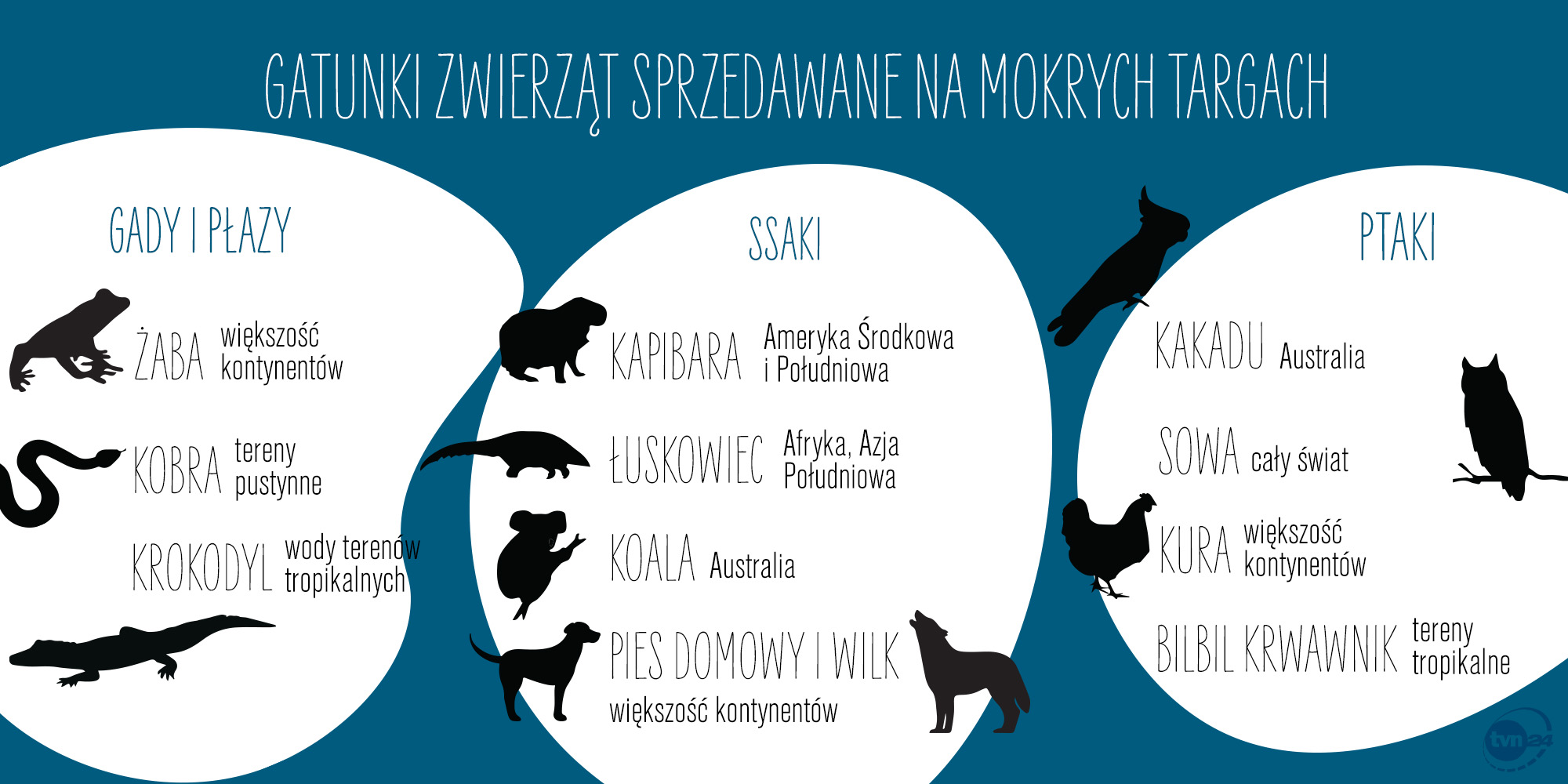 Aktualnie czytasz: "Koronawirusy są skore do mutacji. Jeśli miesza się ze sobą gatunki, jest coraz więcej epidemii"