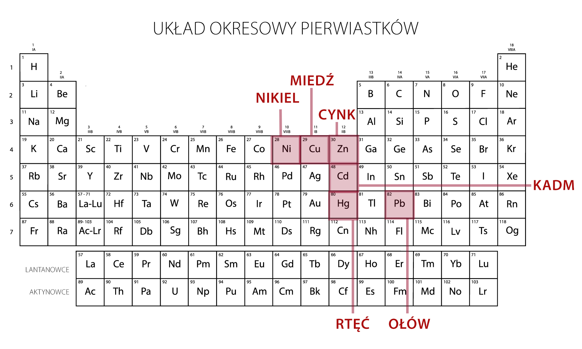 Trujące pierwiastki skaziły wodę w Gęśniku