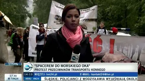 Aktywiści chcą całkowitej likwidacji transportu konnego na Morskie Oko