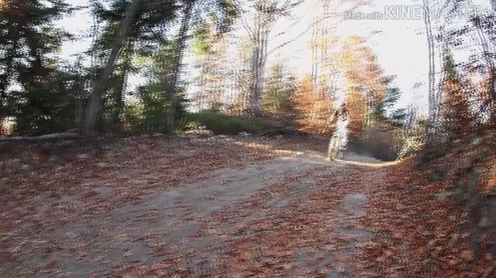 Alex w akcji na rowerze 