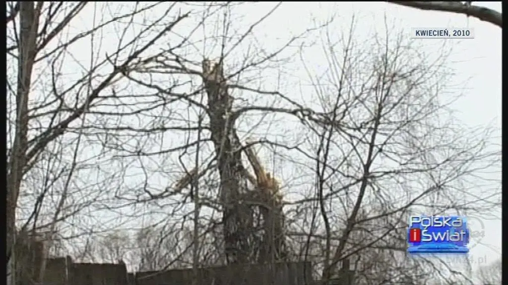 Analiza tez ekspertów komisji Macierewicza ("Polska i Świat" z 19.01.2012 r., TVN24)