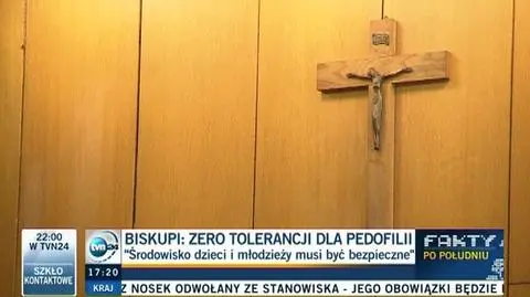 Aneksy ws. pedofilii