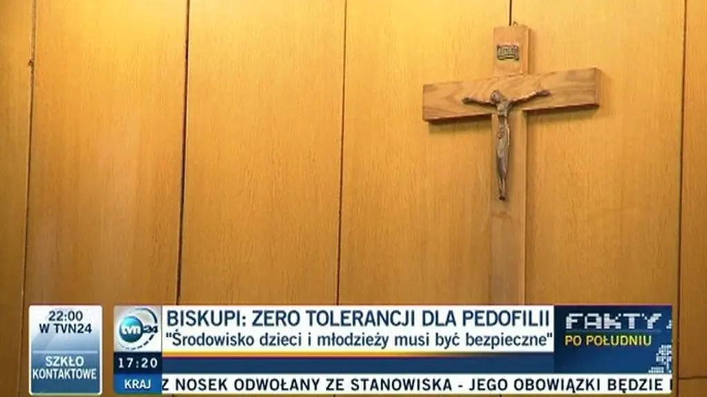 Aneksy ws. pedofilii