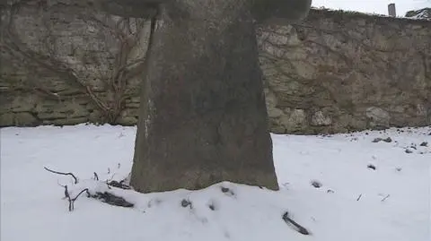 Archeolodzy oburzeni działaniem burmistrza Żarowa