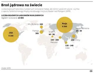 Aktualnie czytasz: Putin składa NATO propozycję "w duchu dobrej woli"