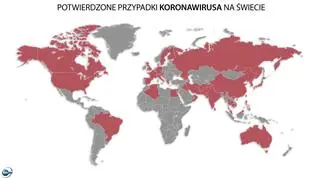 Potwierdzone przypadki koronawirusa na świecie