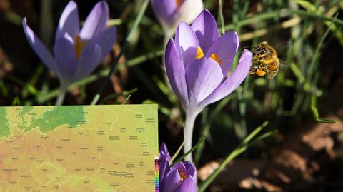 Pogoda na 5 dni: otwórzmy okna szerzej, będzie ponad 20 stopni