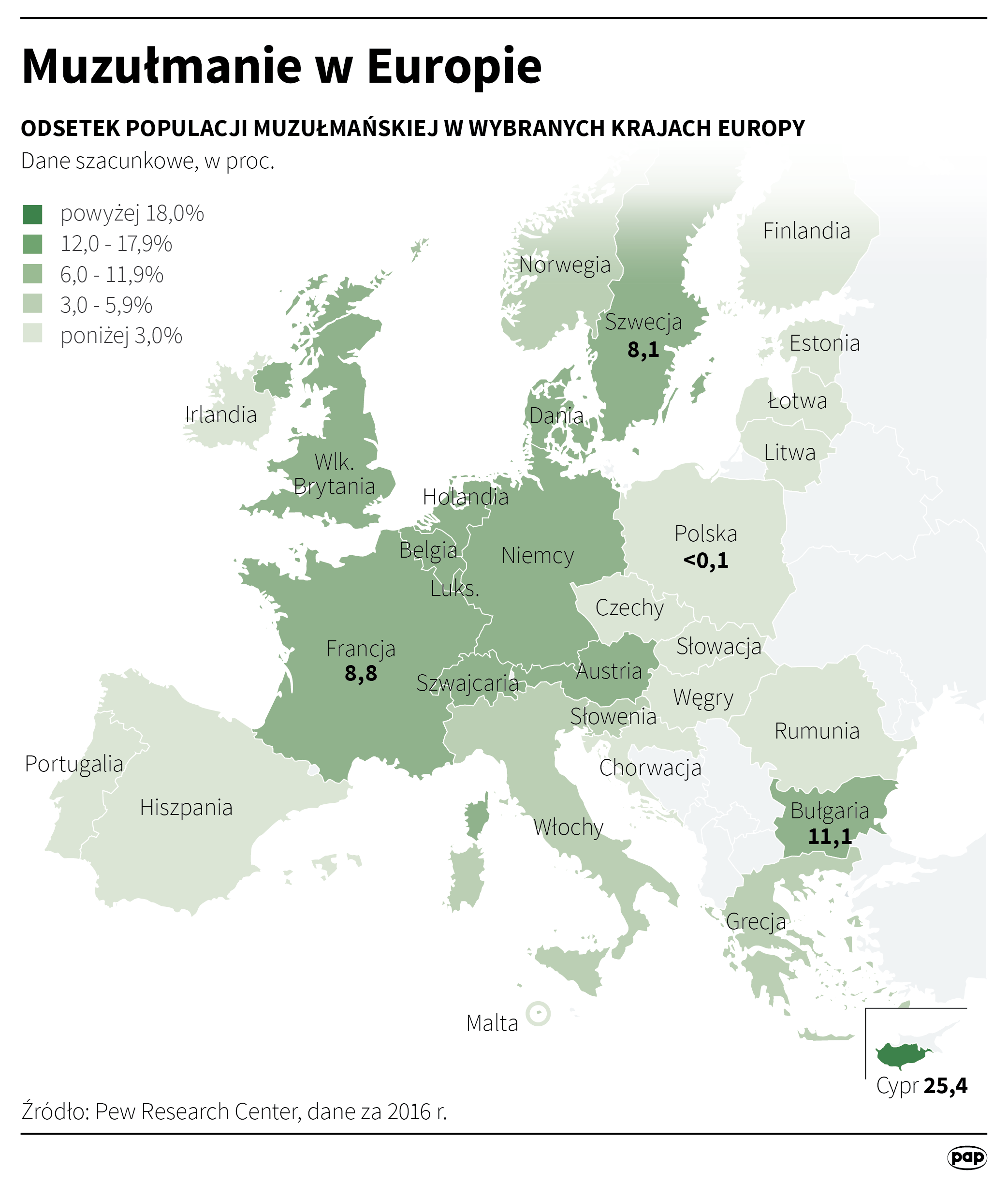 Aktualnie czytasz: "Głęboko zakonspirowana komórka Państwa Islamskiego". Szef muzułmańskiego wydawnictwa aresztowany