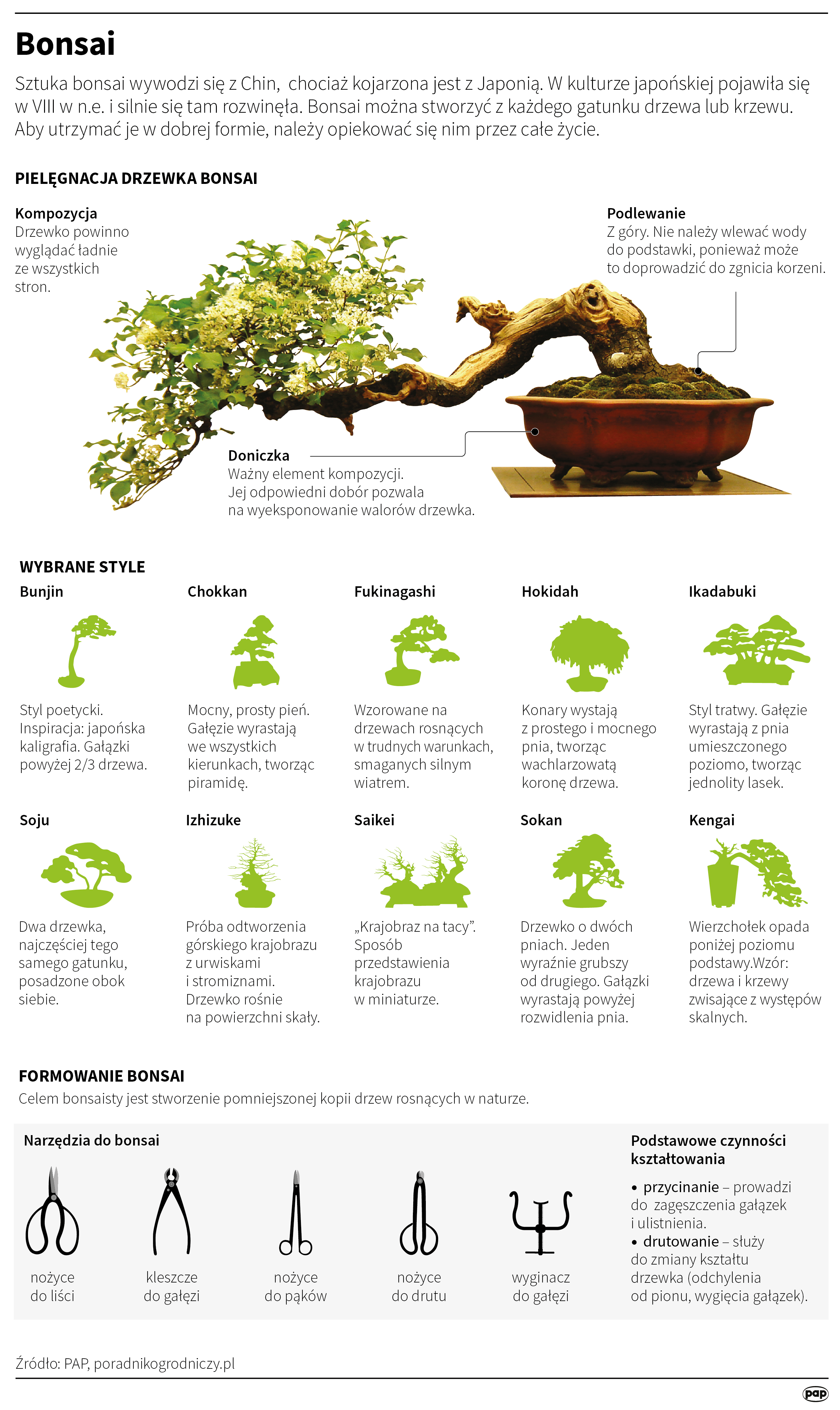 Bonsai 