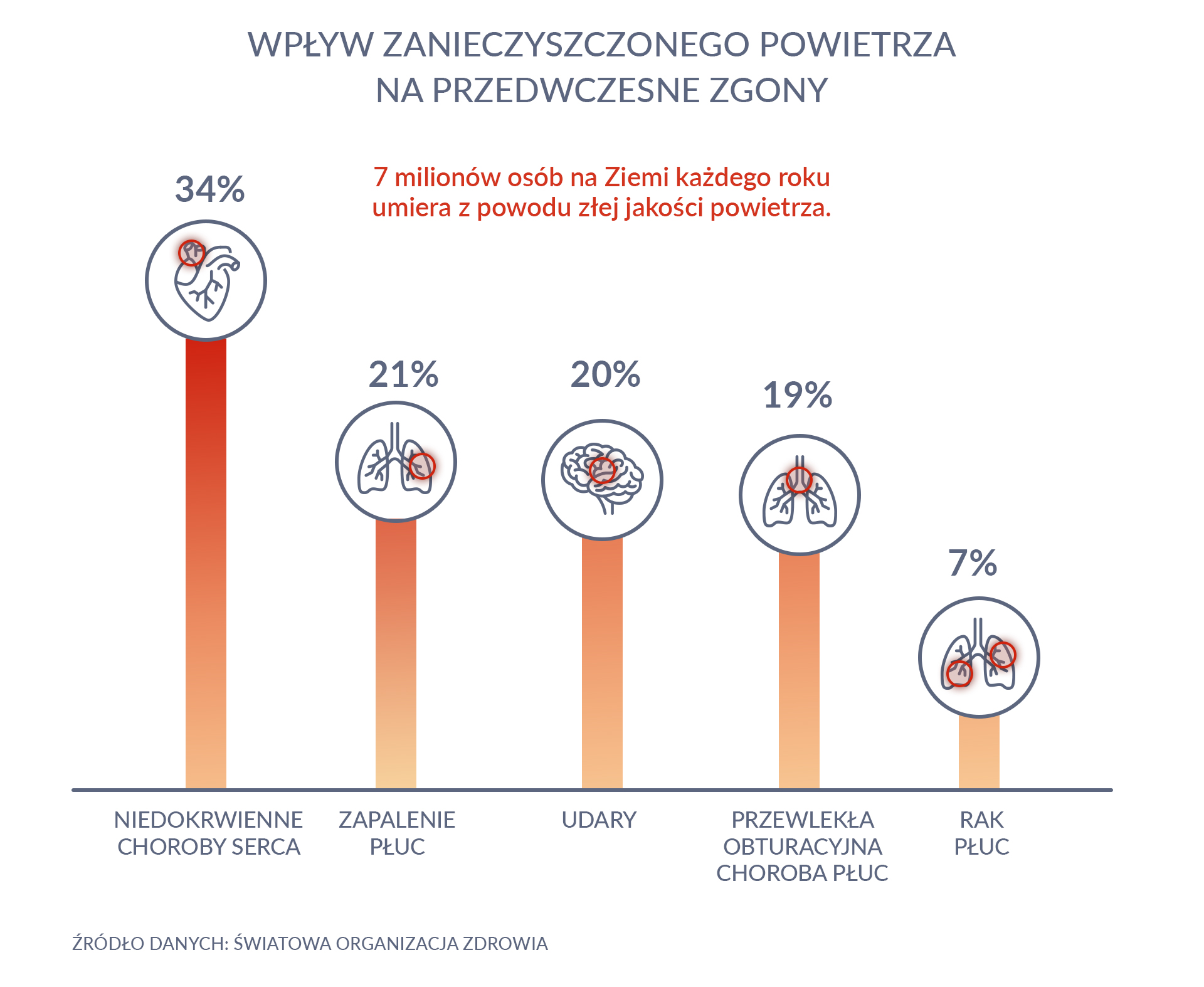 Wpływ zanieczyszczonego powietrza na przedwczesne zgony