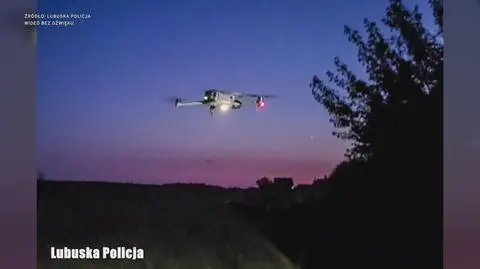 Klatka kluczowa-559685