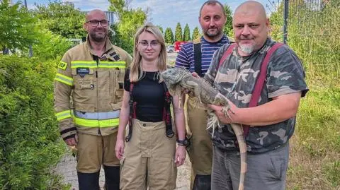 Klatka kluczowa-574802
