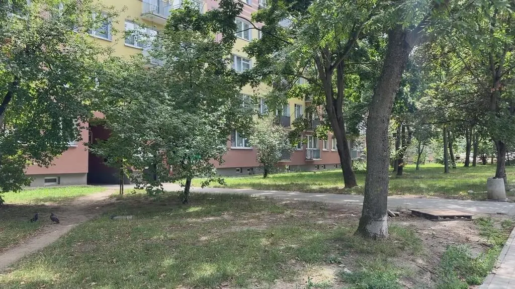 Klatka kluczowa-579610