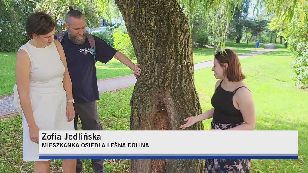 Klatka kluczowa-589095