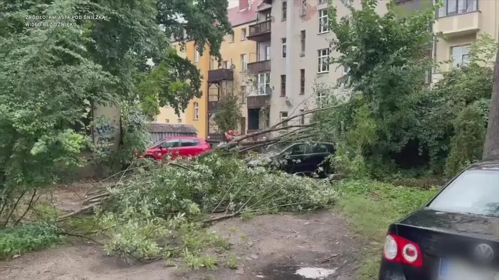 Klatka kluczowa-632553