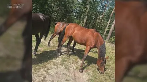 Klatka kluczowa-673833