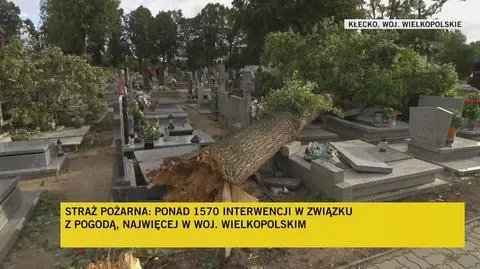 Klatka kluczowa-679237