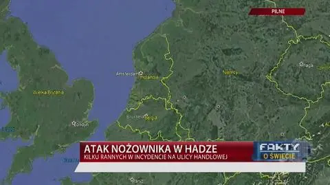 Atak nożownika w Hadze. Kilka osób rannych