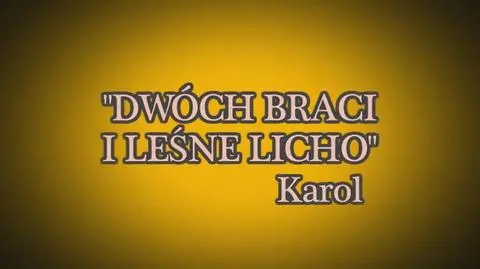 Bajkę "Dwóch braci i leśne licho" czyta Grzegorz Kajdanowicz z "Faktów" (TVN24)