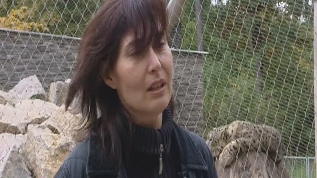 Barbara Kuźniar, kierownik zespołu ds drapiezników krakowskiego zoo