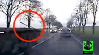 Belka wpadła na samochód 