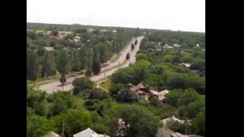 Buk opuszcza Torez