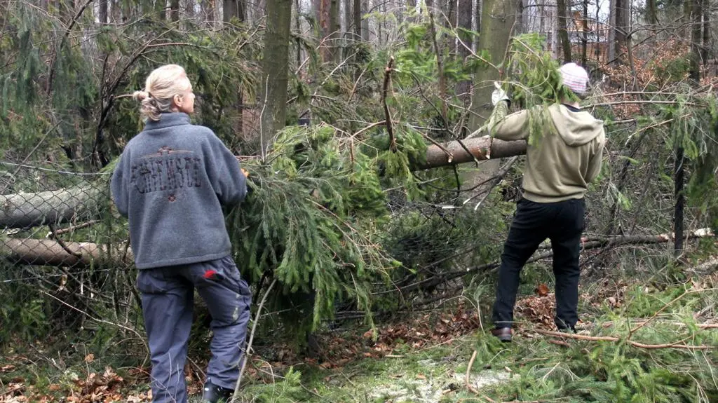 Burmistrz Zakopanego o stratach po halnym