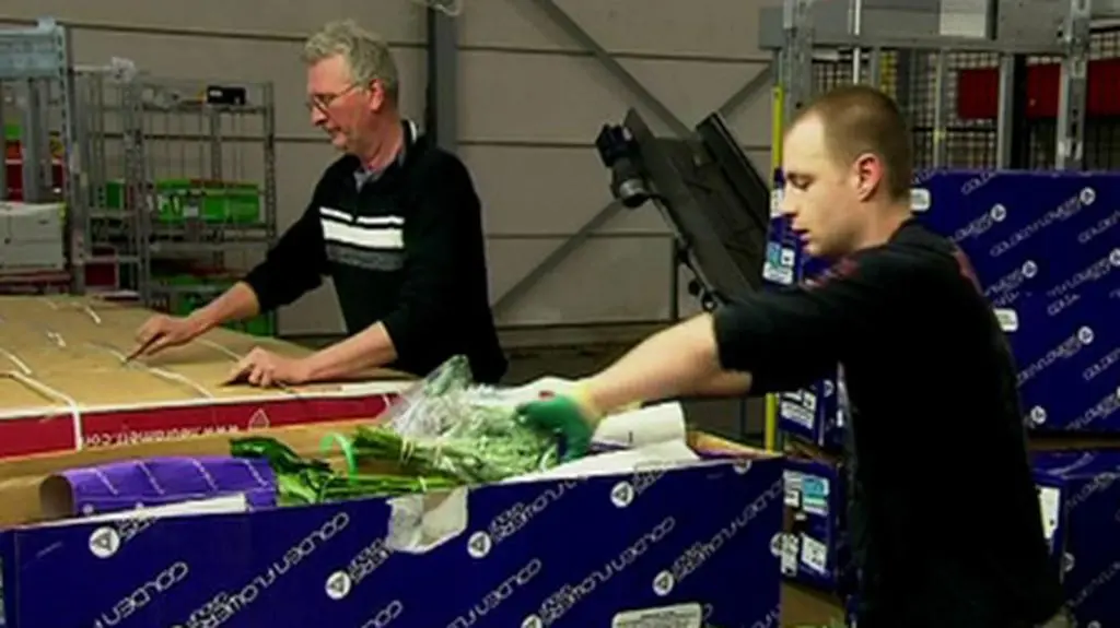 Cały odcinek "Tu Europa" z 26 lipca 