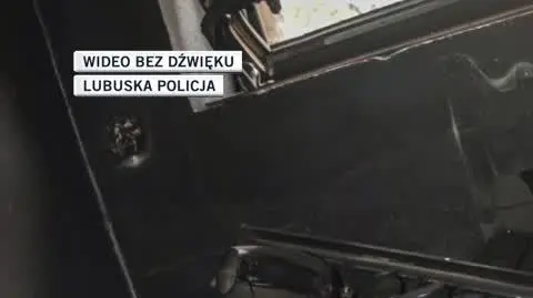 slajdszoł dla Filipa