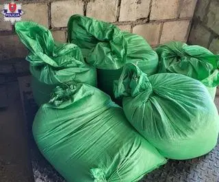 Policjanci znaleźli na posesji kilka worków z cukrem 