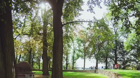 Pogoda na dziś: wtorek z dużą ilością słońca. Lokalnie możliwe opady