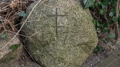 Morowce, kamienny orzeł, płyty nagrobne. Zabytki znalezione w ogródku