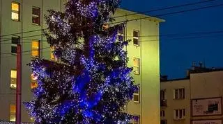 Gdyńskie drzewko też przybrane jest światełkami