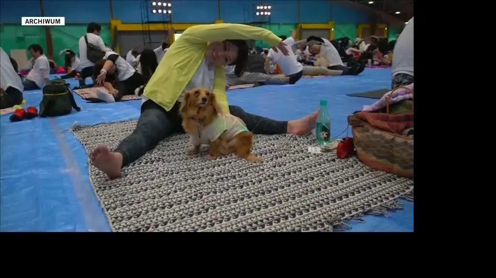psy 