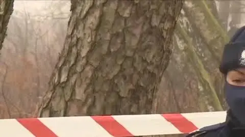 pszczyna konfa 