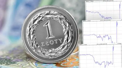 Gwałtowny spadek kursu złotego