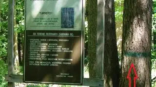 Granica rezerwatu przyrody