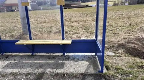 Zniszczył przystanki kradzionymi siekierami