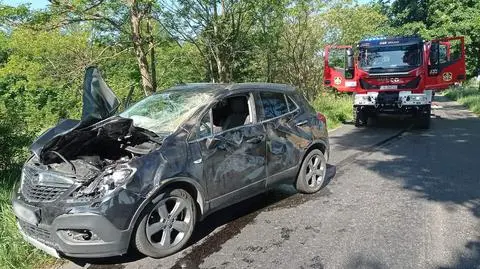 Zderzenie z żubrem. Do szpitala trafiły dwie osoby, ciężko ranne zwierzę trzeba było zastrzelić