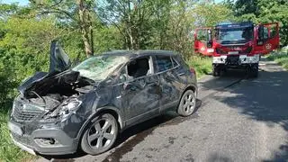 Auto potrąciło żubra