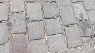 Między szczelinami kostek brukowych leży mnóstwo niedopałów papierosów