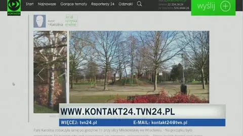 Lama spotkana podczas świątecznego spaceru