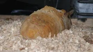 Sperzy zabezpieczyli 50-kilogramową bombę