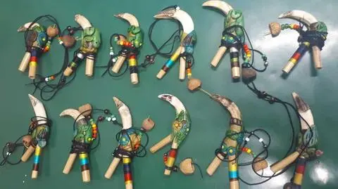 Wachlarz z piór papugi, biżuteria z zębami  drapieżników. Nie miał nic do zgłoszenia, ma kłopoty