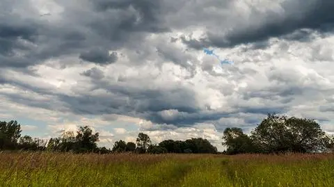 Pogoda na jutro: piątek przyniesie miejscami przelotny deszcz