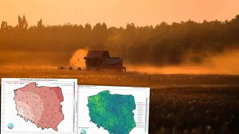 Lipiec był cieplejszy niż zwykle. Wstępne podsumowanie IMGW