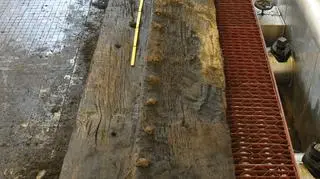 Wisła odkrywa kolejne tajemnice